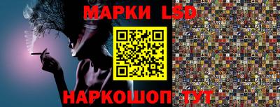 прущие грибы Брянск