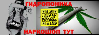 прущие грибы Брянск