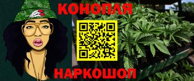 прущие грибы Брянск