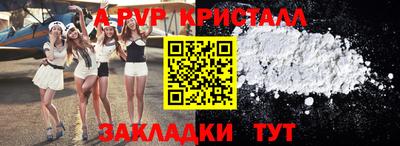 прущие грибы Брянск